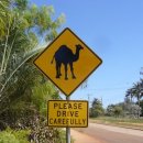 태안으뜸한의원 이미지