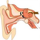 예일이비인후과의원 이미지