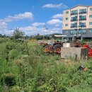 동일리-10 이미지