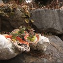 아리랜드 이미지