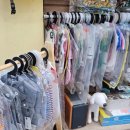 더 데일리 펫샵 이미지