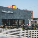 코랄(coral)