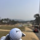 여자 골퍼가 써본 스릭슨 큐스타 후기｜디스턴스와 차이점 정리