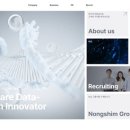 엔디에스