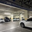 야간필라 이미지