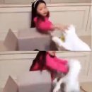 구사 이미지