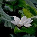 동우대학 이미지