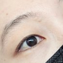 해반천로 278번길 | 뷰러 필요 없는 자연스러운 C컬 속눈썹 펌 후기