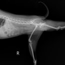 미사서울동물병원 이미지