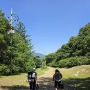 숲속가든캠핑장 | 예약하기 힘든 백패킹 캠핑장, 호명산 잣나무숲속 캠핑장 19번 데크 후기