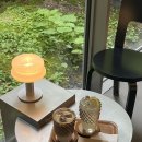 대구용호초등학교 | 25年9月