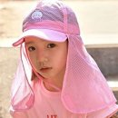 플랩
