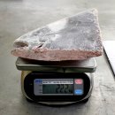 수정체육사 이미지