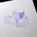 기초 보태니컬아트 이미지