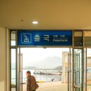 히타카츠항 도착 대마도여행 with 트래블월렛 팬스타쓰시마링크 대마도배편예약