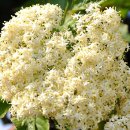 자연슈퍼 이미지