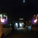참프루 | 오키나와 중부 이자카야 '토토참프루' 다녀온 후기(가격포함)
