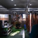 트레비어 이미지