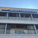 더 퍼피즈 블루오션 이미지