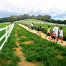 월산목장 이미지