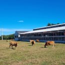 순조농장 이미지