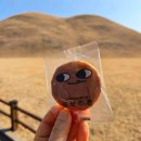 소로3-163 이미지