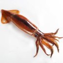 북아현동물병원 이미지