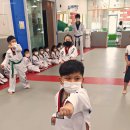 경희대 한빛 태권도장 이미지