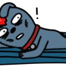 백제삼계탕 이미지