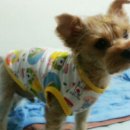 옷만들기 초급 이미지