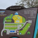 동강전망자연휴양림 예약 및 이용 후기
