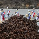 매향리 평화생태공원 이미지