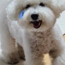 초광산단서로 이미지