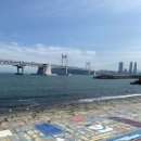 꼬독꼬독 이미지