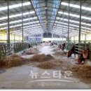 산영 영농조합법인