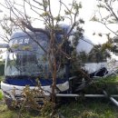 수원-0992 이미지