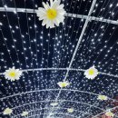 천사카랜드 이미지