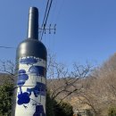 와인터널주차장 | 청도가볼만한곳 와인터널 무료입장 감와인 후기