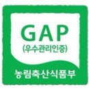 블루베리팜