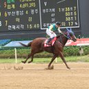 대승축산 이미지