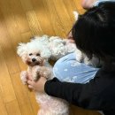 번외편