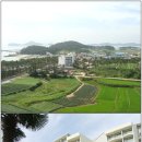 천일고천 Daum카페