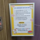 노라조 야옹아 이미지