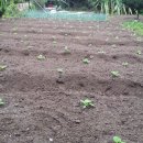 자명농장 이미지