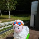 시등목장 이미지