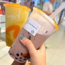 [필리핀 마닐라&amp;보라카이 여행 후기] DAY4 마닐라 세다 베티스 노스, U.P TOWN, 케손시티 돈 안토니오...