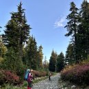 Elfin Lakes Shelter, Campground 이미지