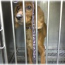 은영상회 이미지