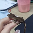 까만통 이미지
