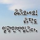 자작도일광민박